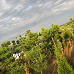 k8
